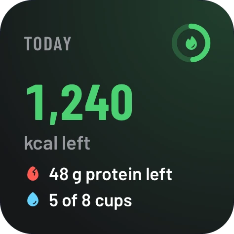 The small widget in dark mode: 1,240 kcal left, 48 g protein left and 5 of 8 cups of water.