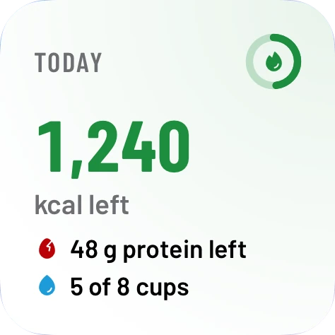 The small widget: 1,240 kcal left, 48 g protein left and 5 of 8 cups of water.